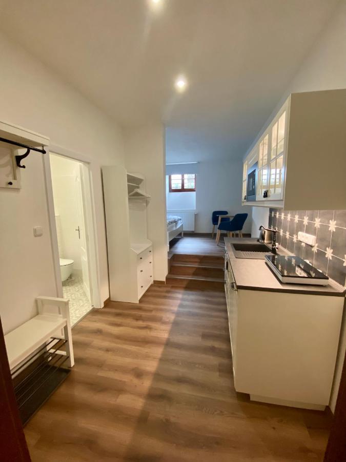 Apartmany V Ulicce Frymburk Kültér fotó